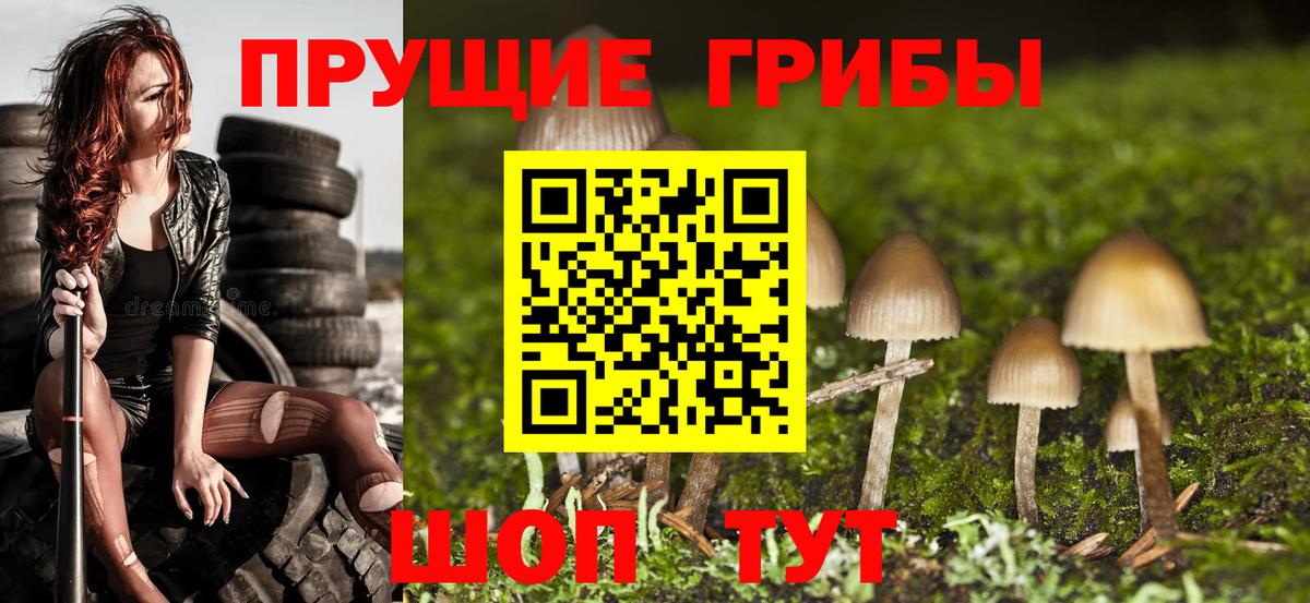 Ейск  Псилоцибиновые грибы Magic Shrooms  Вход с VPN 